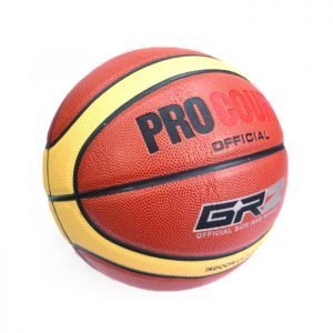 ProCourt Basketball